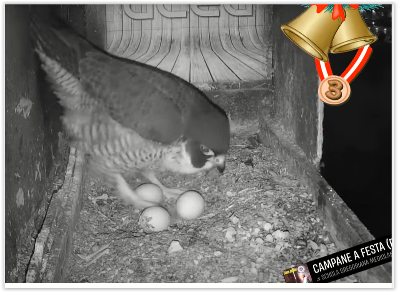 Screen Shot 03-01-25 at 07.29 PM