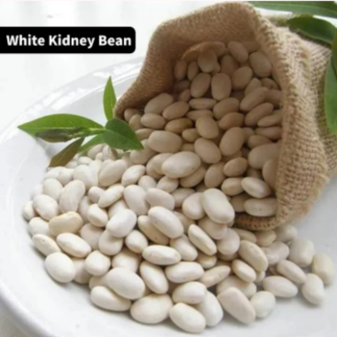 White Kidney Bean