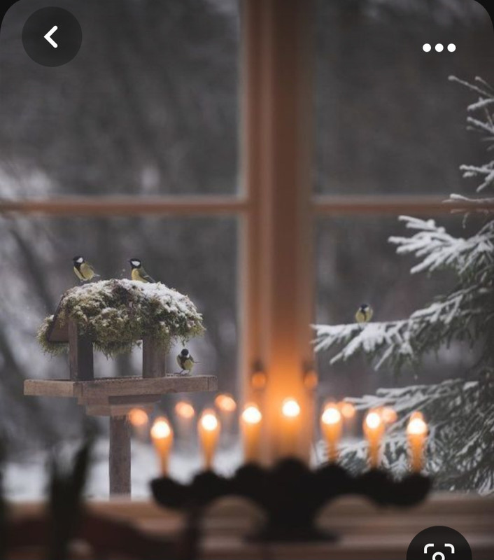 Screenshot_20231101_234326_Pinterest