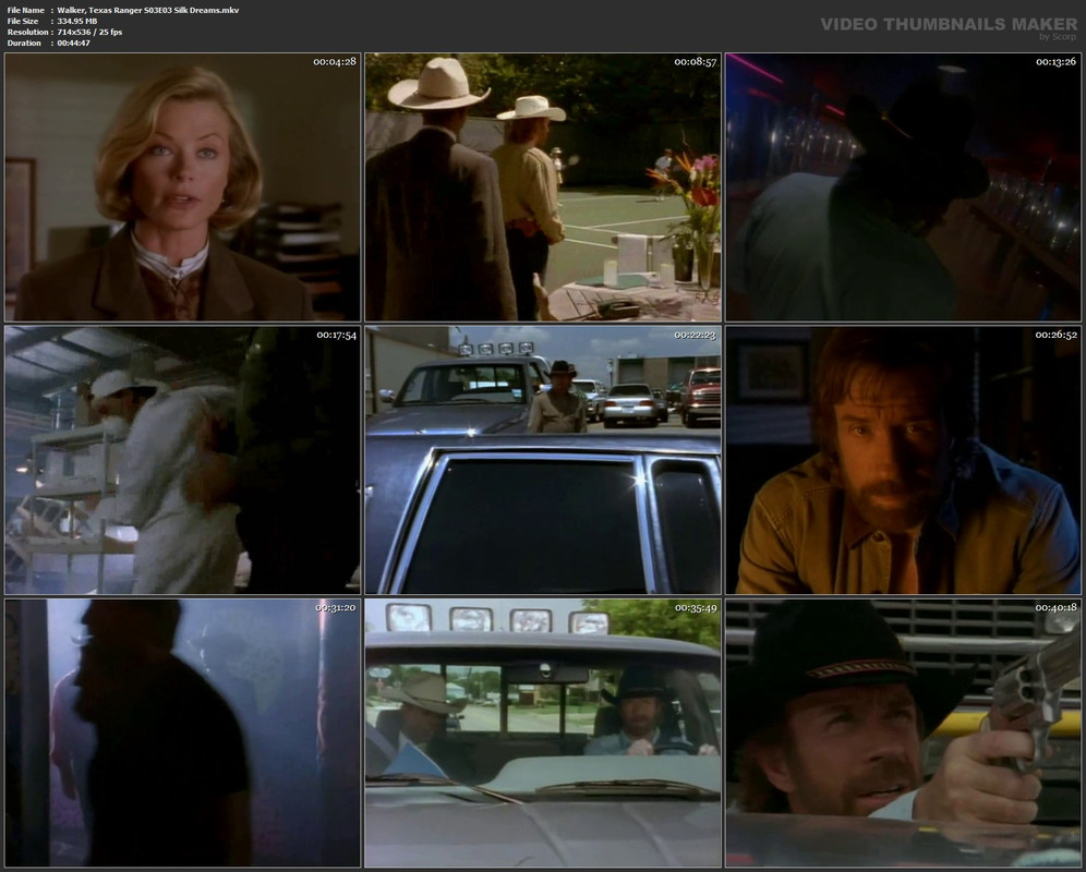 Walker, Texas Ranger S03E03 Silk Dreams.mkv
