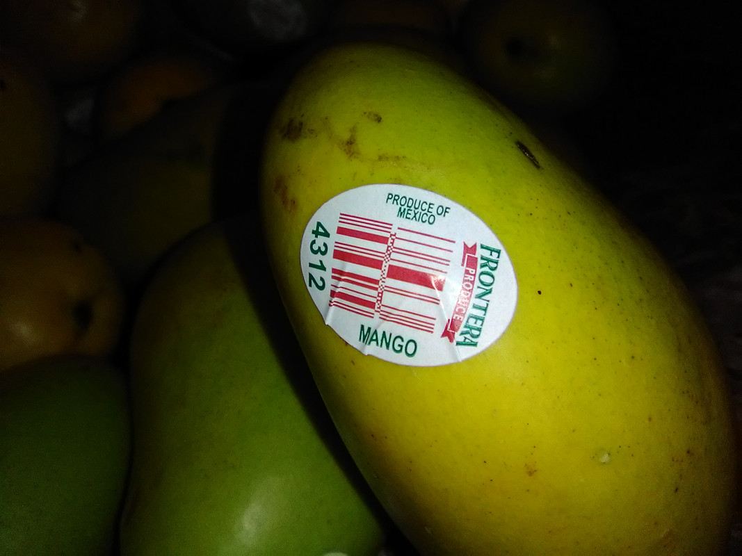 Xoài Mễ IMG-20190627-104643