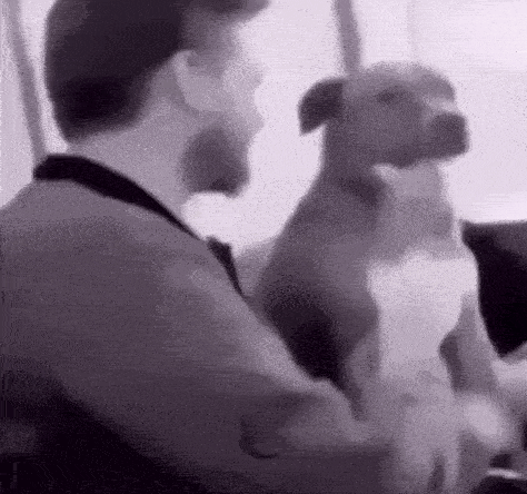 A GIF OF SOMEONE REPEATEDLY POKING AT A DOG ONLY FOR THE DOG TO 'POKE' BACK.