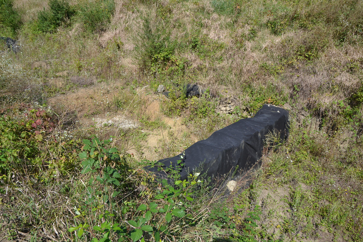 DSC_1428