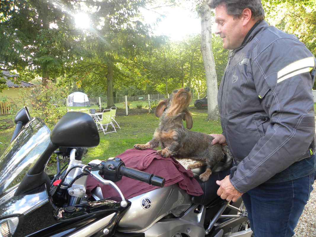 [Image: DSCN9599-JPG4.jpg]