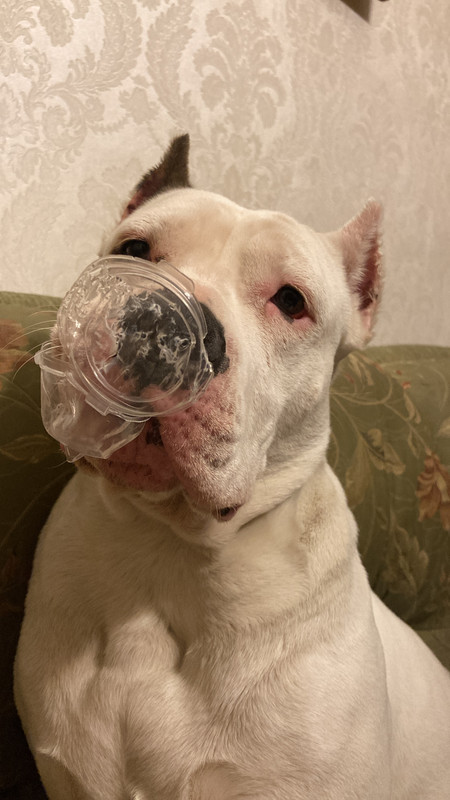 6EB617B6-4E03-45B7-A108-48CEED7A91CA