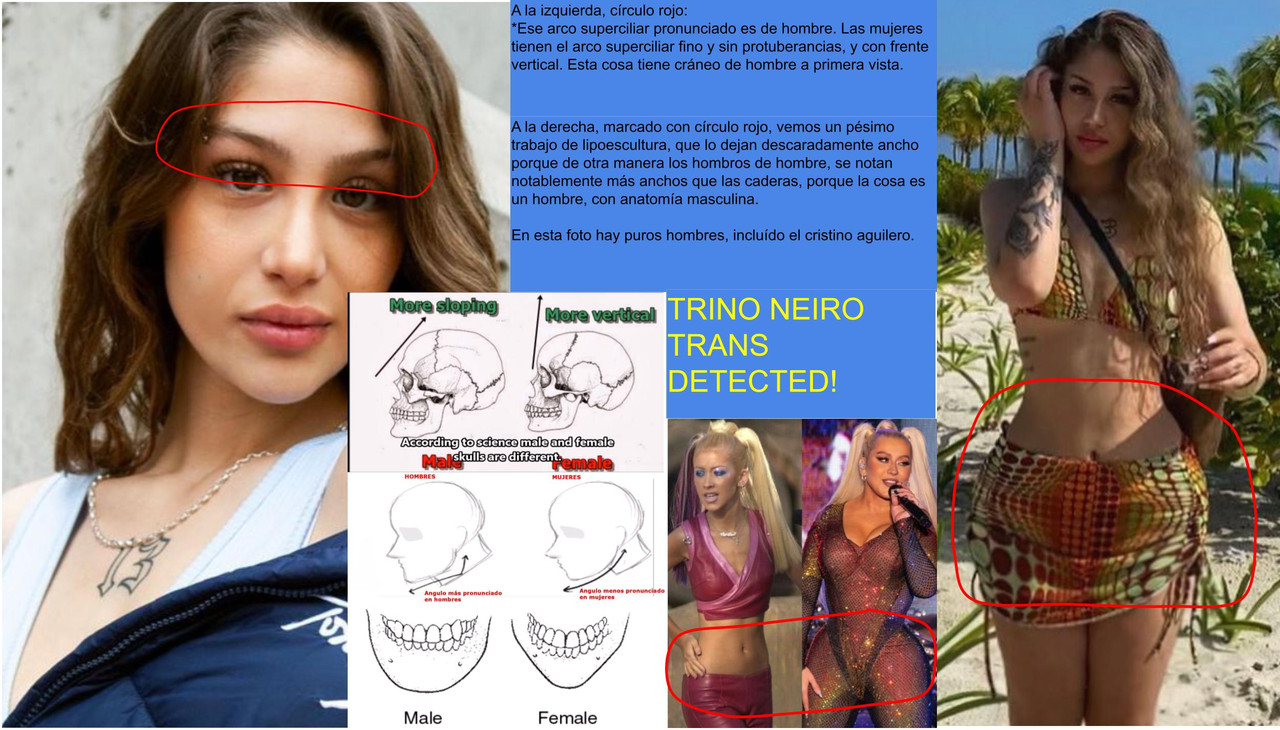 TRINI-NEIRA-TRANS-DETECTED-346747-H654.jpg