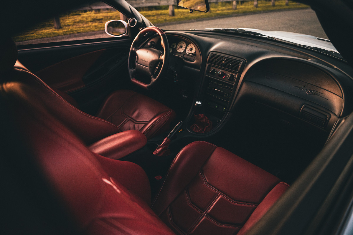 CobraRedo_005Smaller