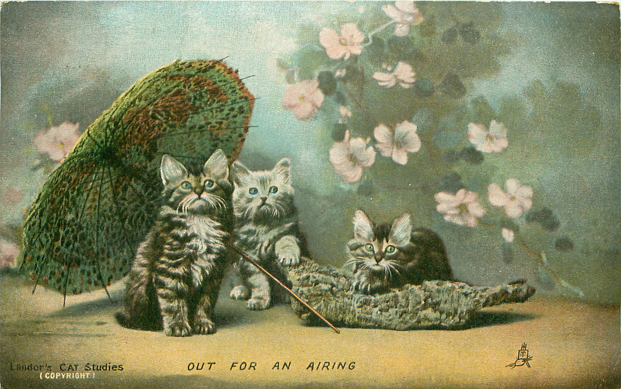 22-2011-06-15-18-07-28