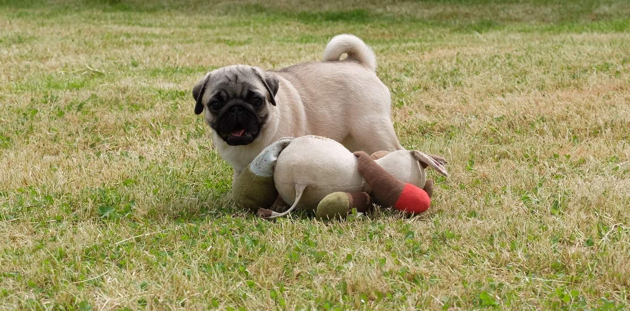 1D3E5E5B-A56F-43C9-AFC5-C45EF8E4318F