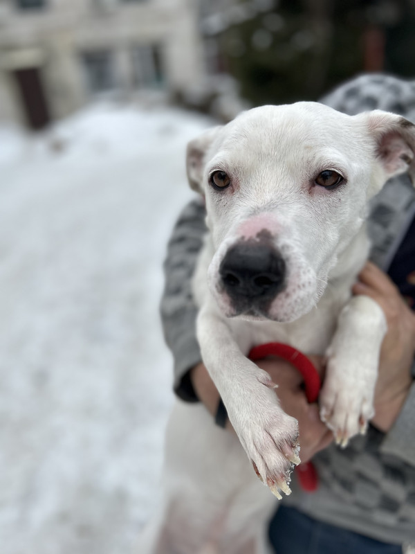 35C6D4CC-6EC9-41D0-A683-BBF2323DF162