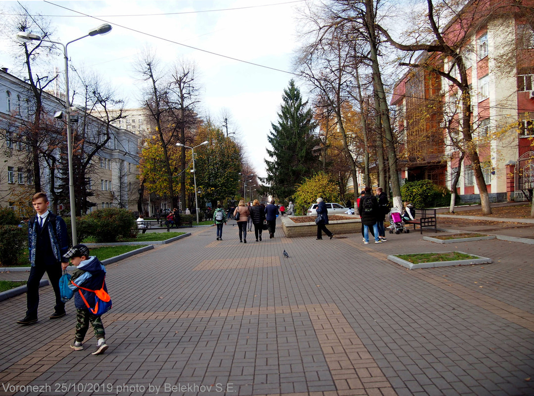 Воронеж, осень