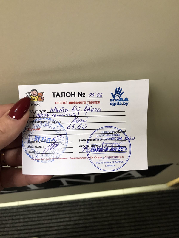 6675C9EF-5927-4F9A-813D-6AA6DF00449B