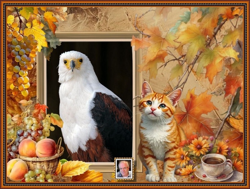 MOOIE-KATER-2