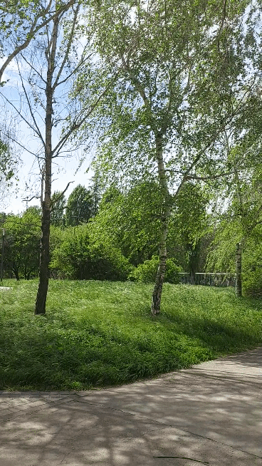 20210508-140720-1.gif
