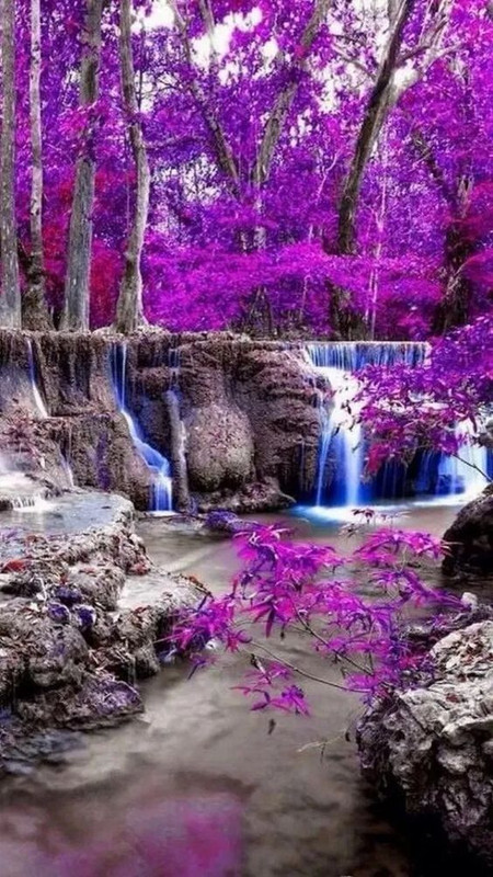 magentawaterfall.jpg