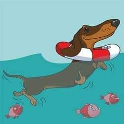 [Image: FB-IMG-1612526157473.jpg]