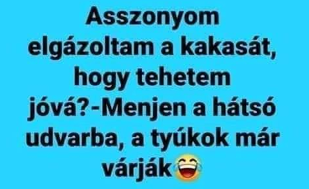 https://i.postimg.cc/XYPmtb37/asszonyom.png