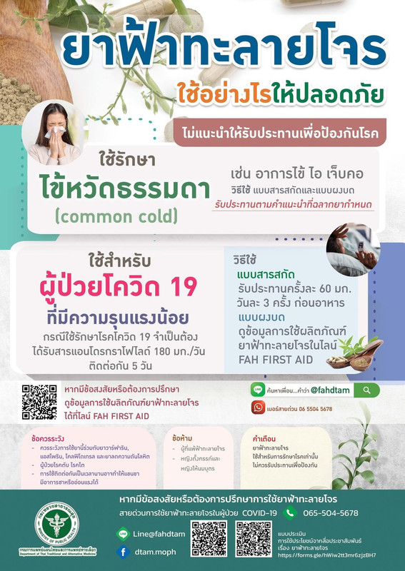 ยาฟ้าทะลายโจร ใช้อย่างไรให้ปลอดภัย