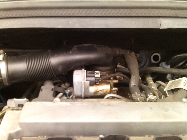 leptir klapna gasa (4)