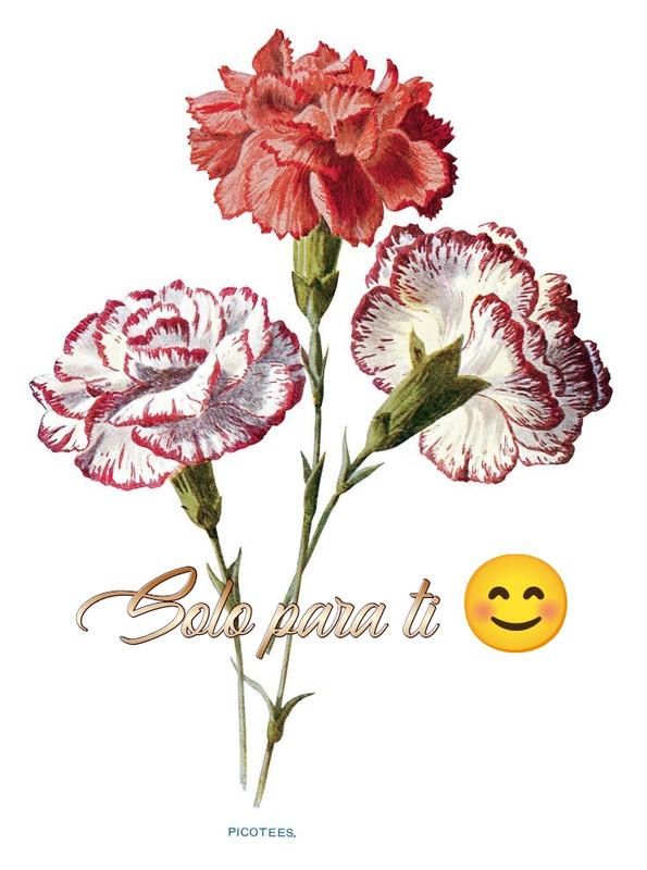 photostudio-1762248394393