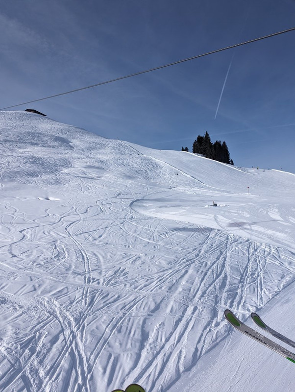 PXL_20240121_105417724.MP