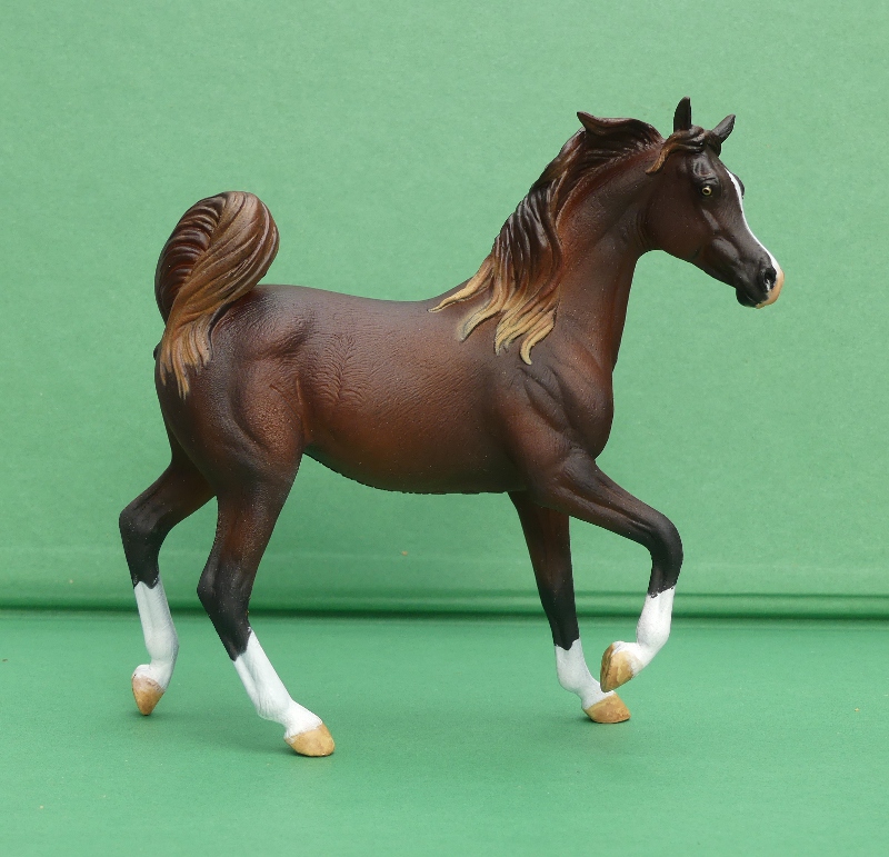 2022 Horse Figure of the Year - WIA Andalusian Stallion Vincenzo  Coll-Arabian-TAW