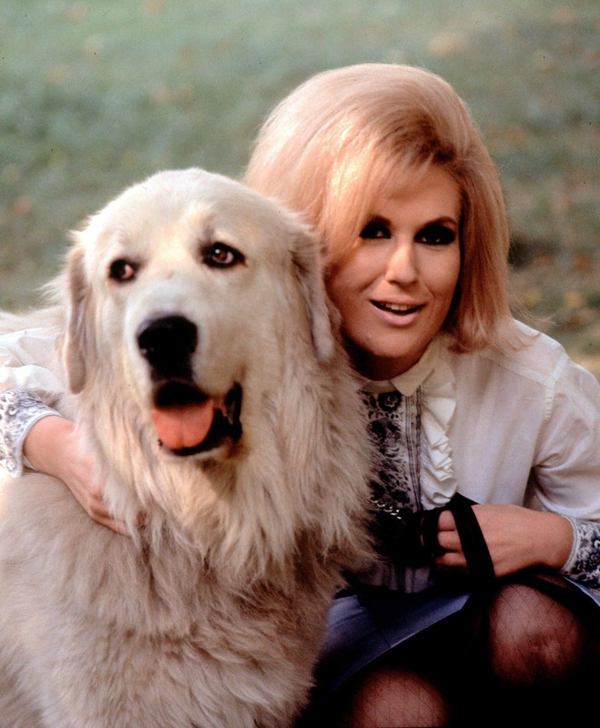 dusty_springfield_b58
