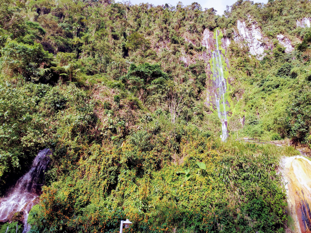 Colombia por libre en 18 días - Blogs de Colombia - Valle del Cócora y Salento (20)