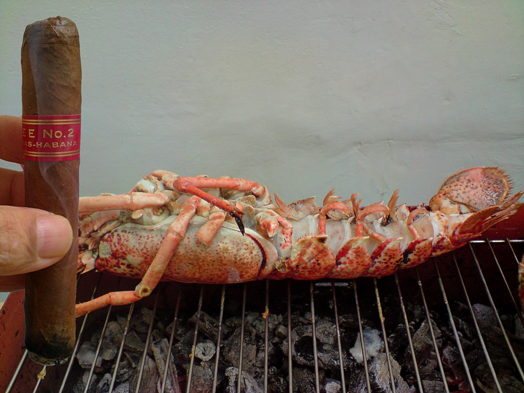 partagas serie e no 2