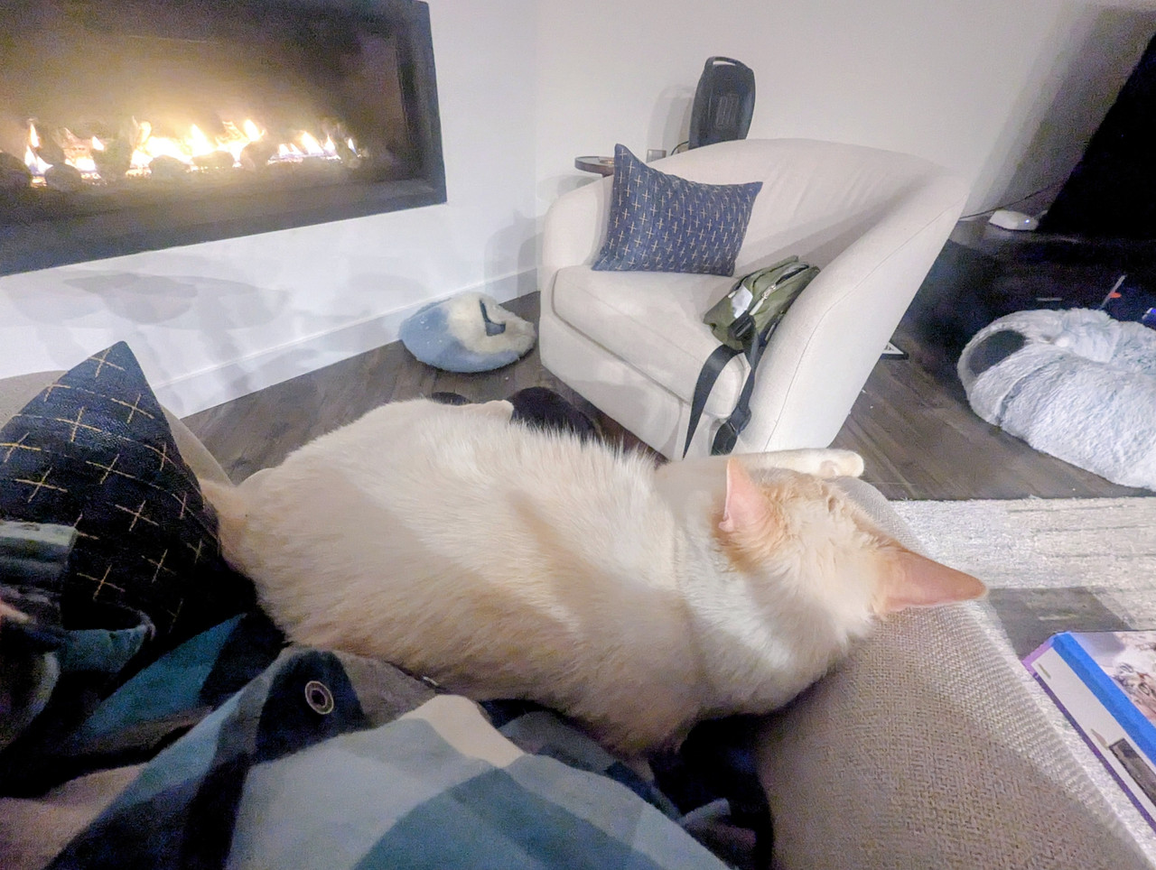 PXL 20260209 231402513 MP 2