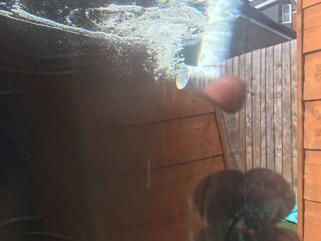 FD411D2C-DA19-4A50-B66E-E0DA631F990E