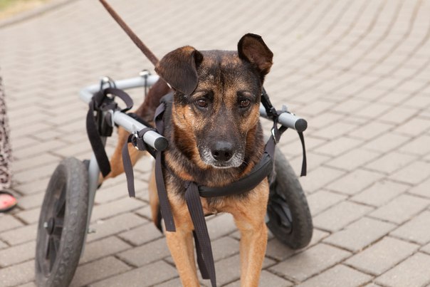 CC670B78-4A66-45EF-938D-E5CC2B09928F