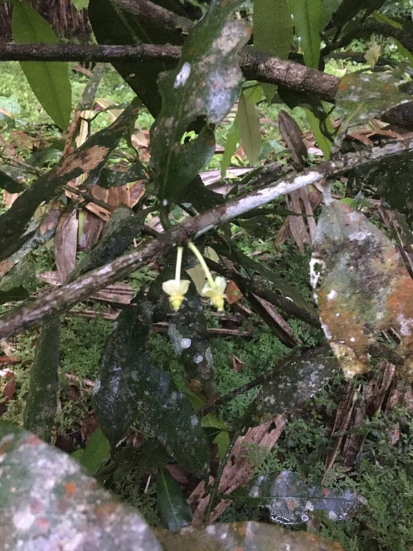 1C4678D9-2A98-419B-9B28-10CAD7474E70