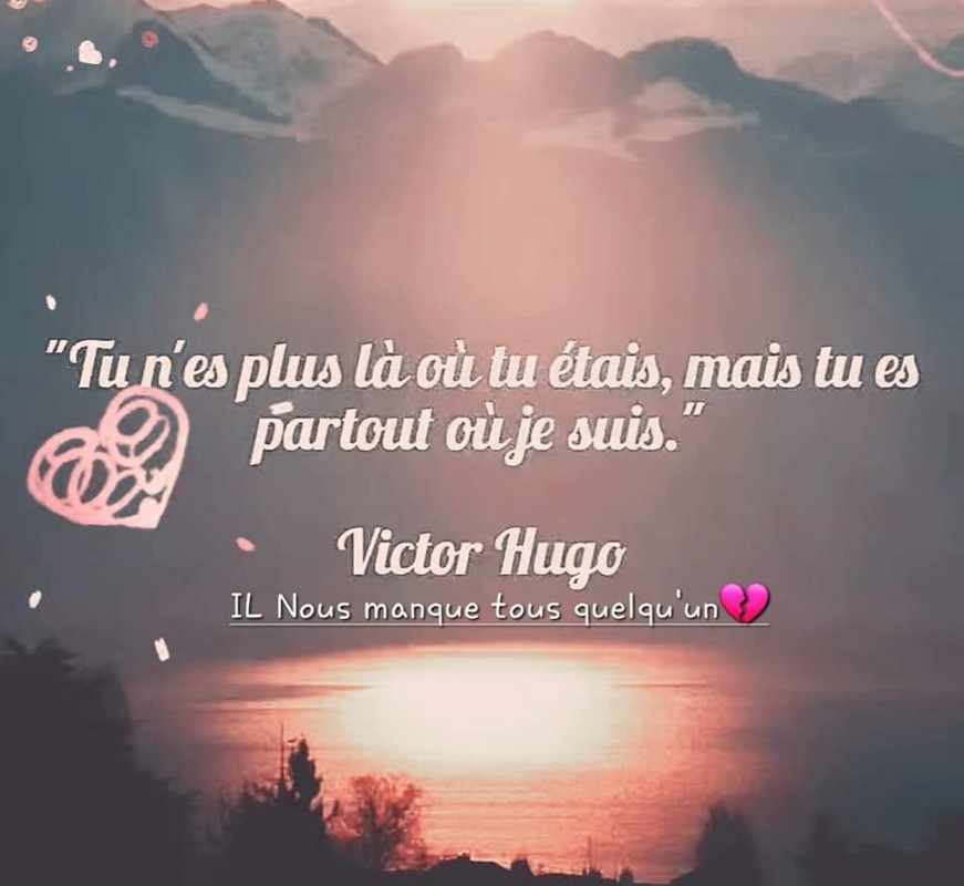 [Image: FB-IMG-1701460274098.jpg]