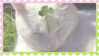 Cat-Clove-Stamp.png