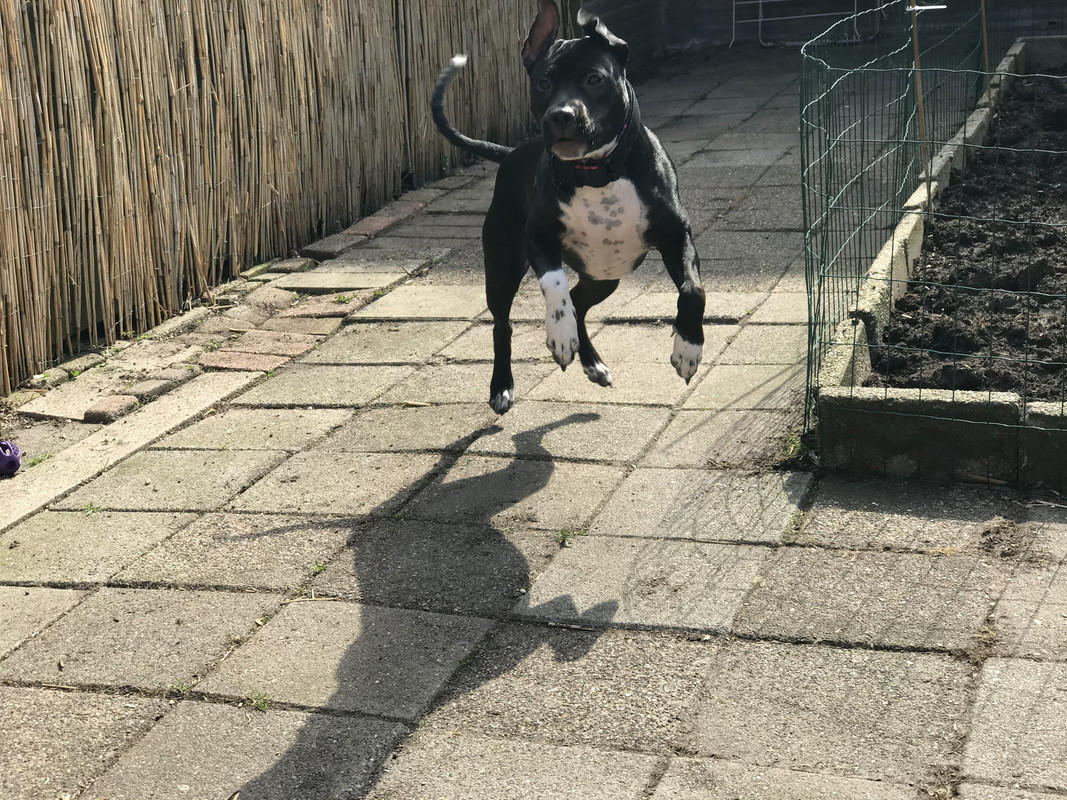 86539C25-D675-42A4-A9DF-57A1C9E1F04B