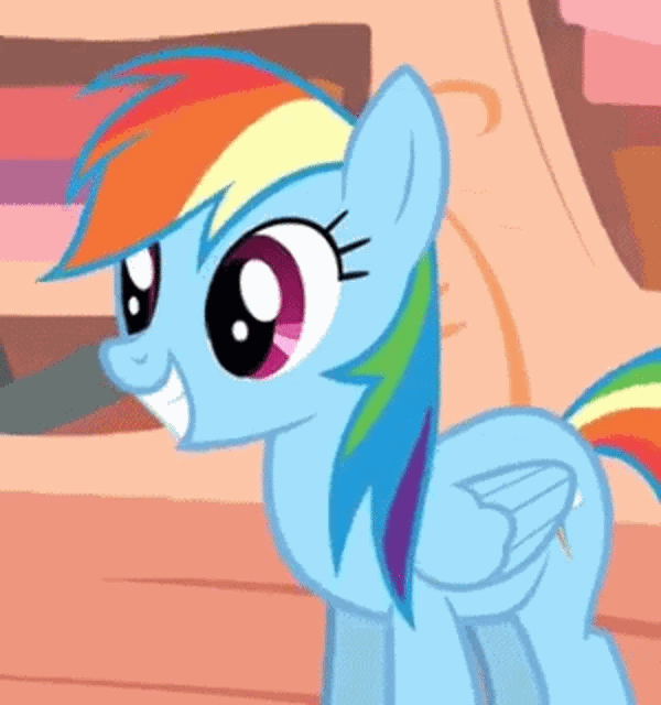 raindash raindash