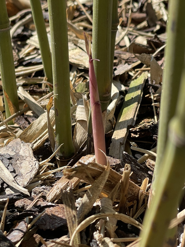 E8832BBD-8BE7-4BD8-97B7-CB142A919CA1