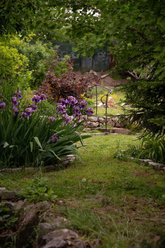IMG-b08204e30f383706849106ab9ab28415-V