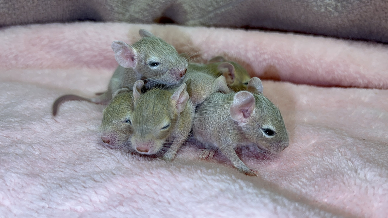 36DEF078-99B9-4BB7-879C-22B742CA52CE