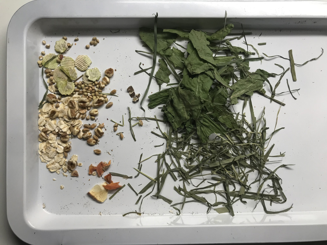 56C55D9A-EB50-4706-B03D-4FAD440103F3