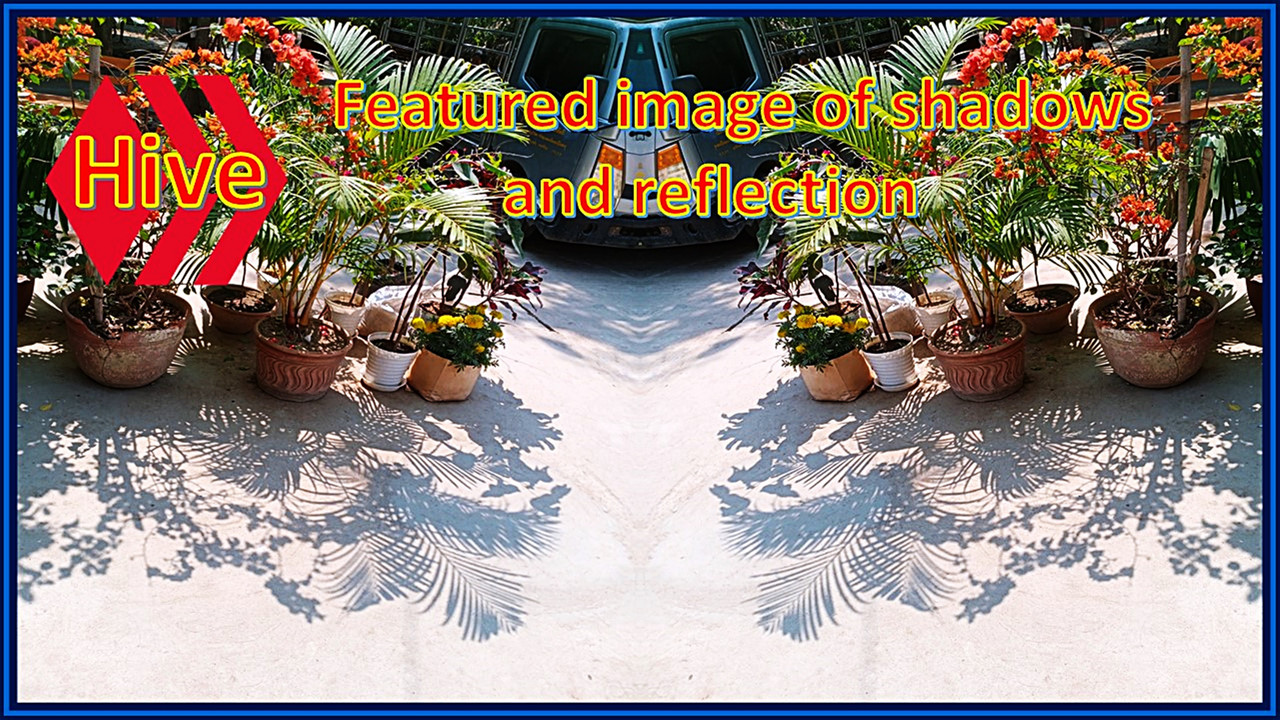 50% benefiting "ShadowHunters-Community" Last day of February for image selection