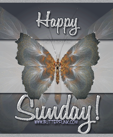 sunday-butterfly-moon