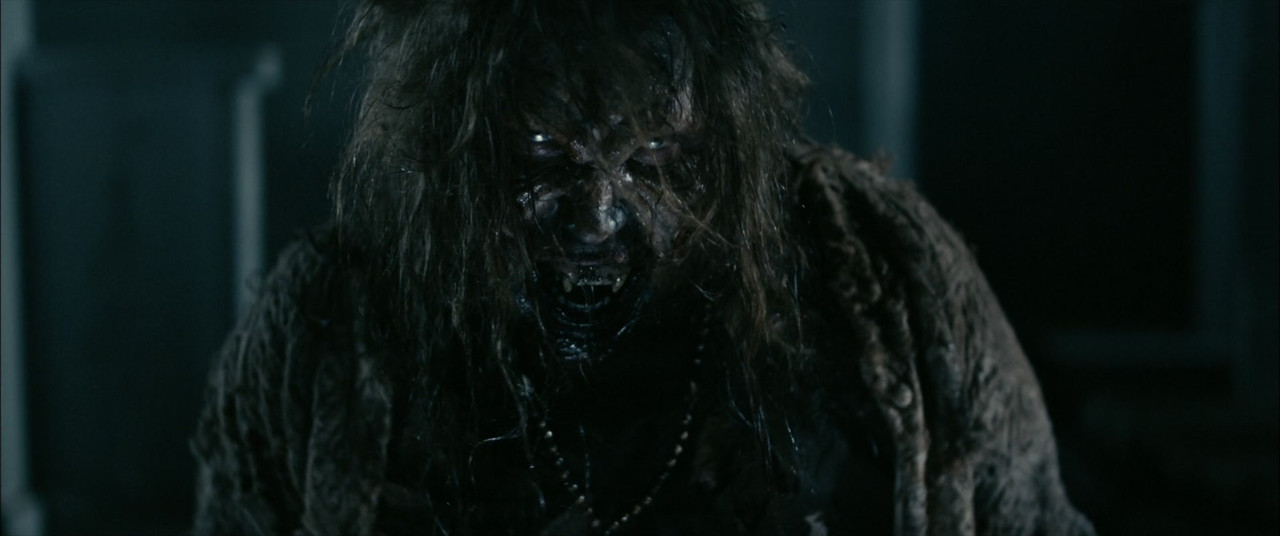 Stake Land (2010) (1080p BluRay x265 r00t)-4