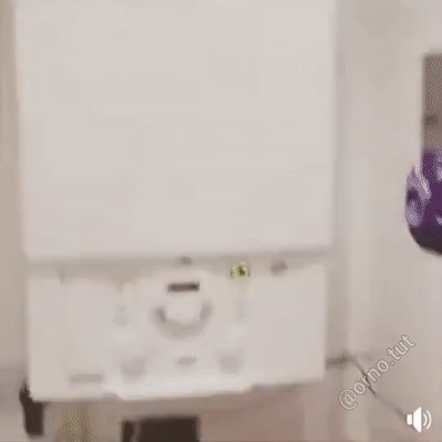 daily-gifdump-3345-05.gif