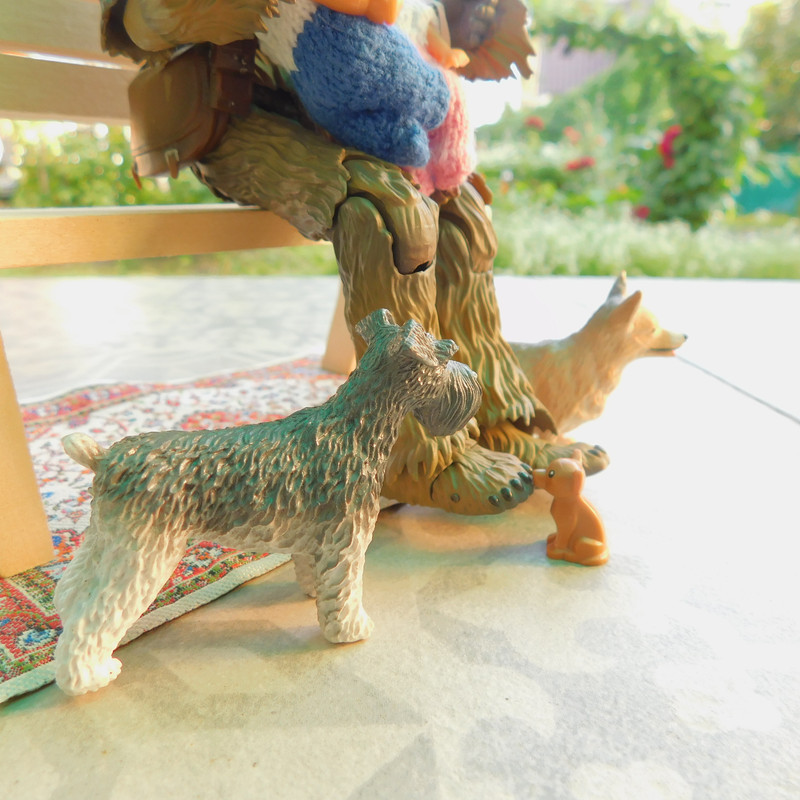 Дачно-Харлинский июнь-июль 2024 195