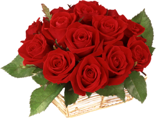 0-6ea9a-1f4222d3-L.png