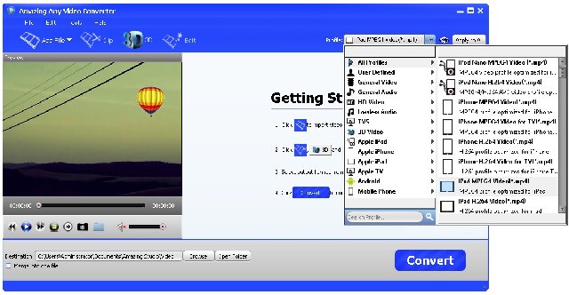 Amazing Any Video Converter 11.8 Multilingual Portable