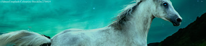 74-B62862-D3-DC-4152-B893-7-F2824385-FCE.png