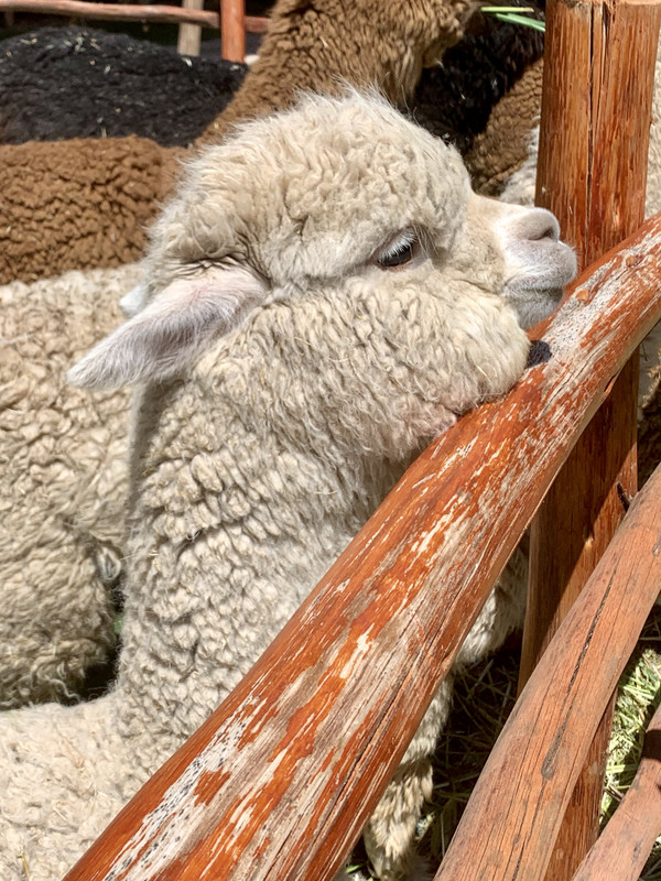 283A5A38-379B-4EA6-86CF-08F7496F5EEF